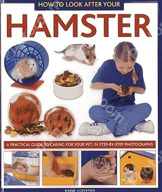 How to Look After Your Hamster