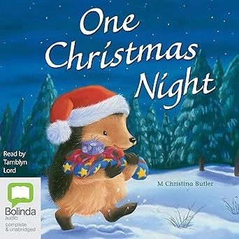 One Christmas Night: Little Hedgehog Series