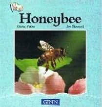 Honeybee