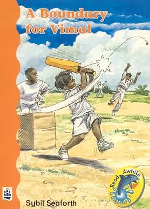 A Boundary for Vimal