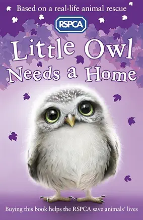 Little Owl Needs a Home
