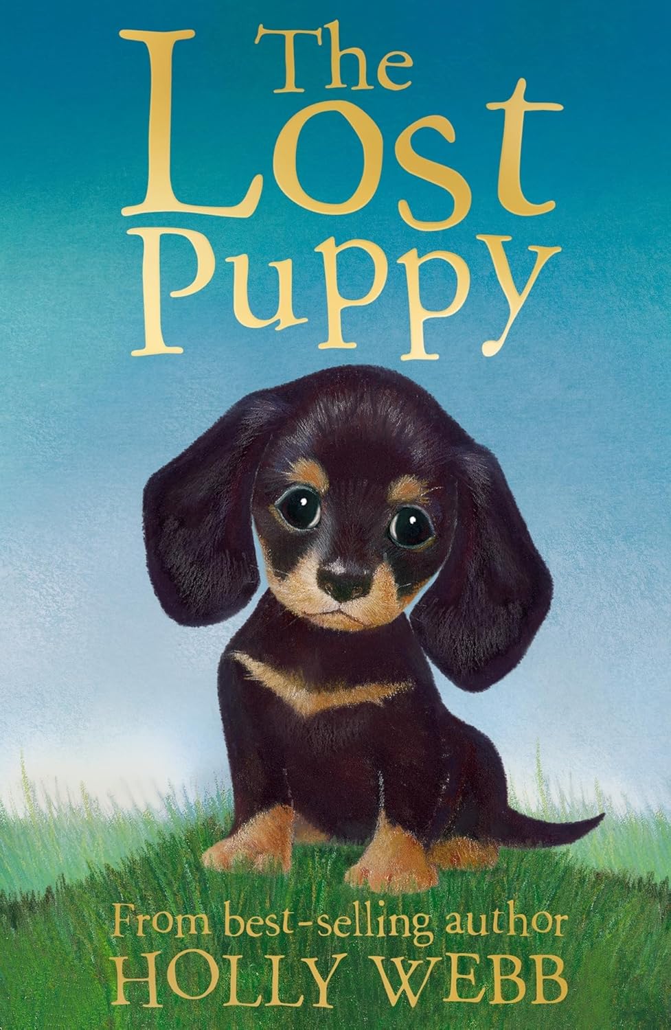 The Lost Puppy: 20 (Holly Webb Animal Stories)
