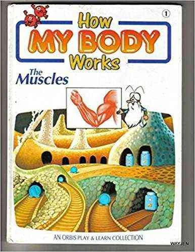 How My Body Works The Muscles