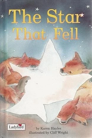 Picture Stories Star That Fell