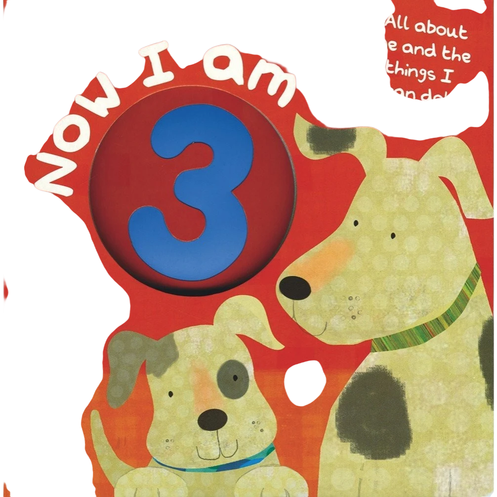Now I Am 3