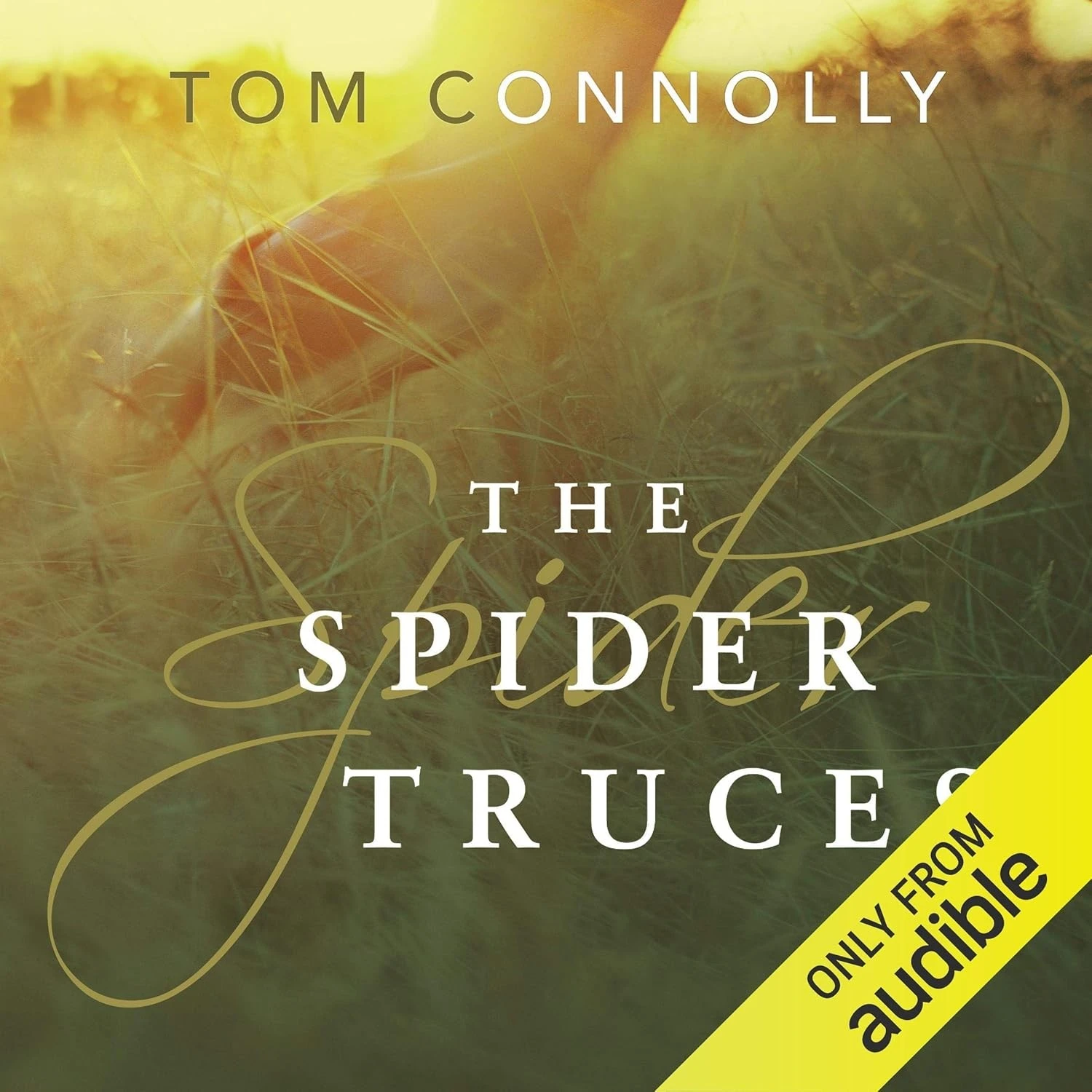 The Spider Truces