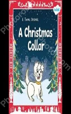 a christmas collar