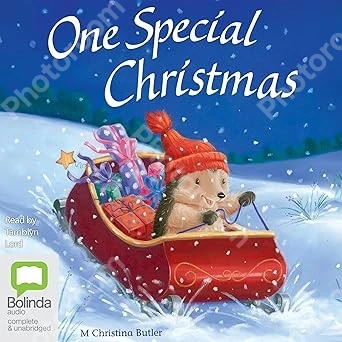 One Special Christmas: Little Hedgehog