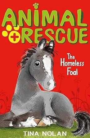 The Homeless Foal