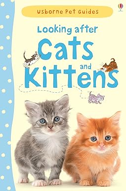Looking After Cats And Kittens