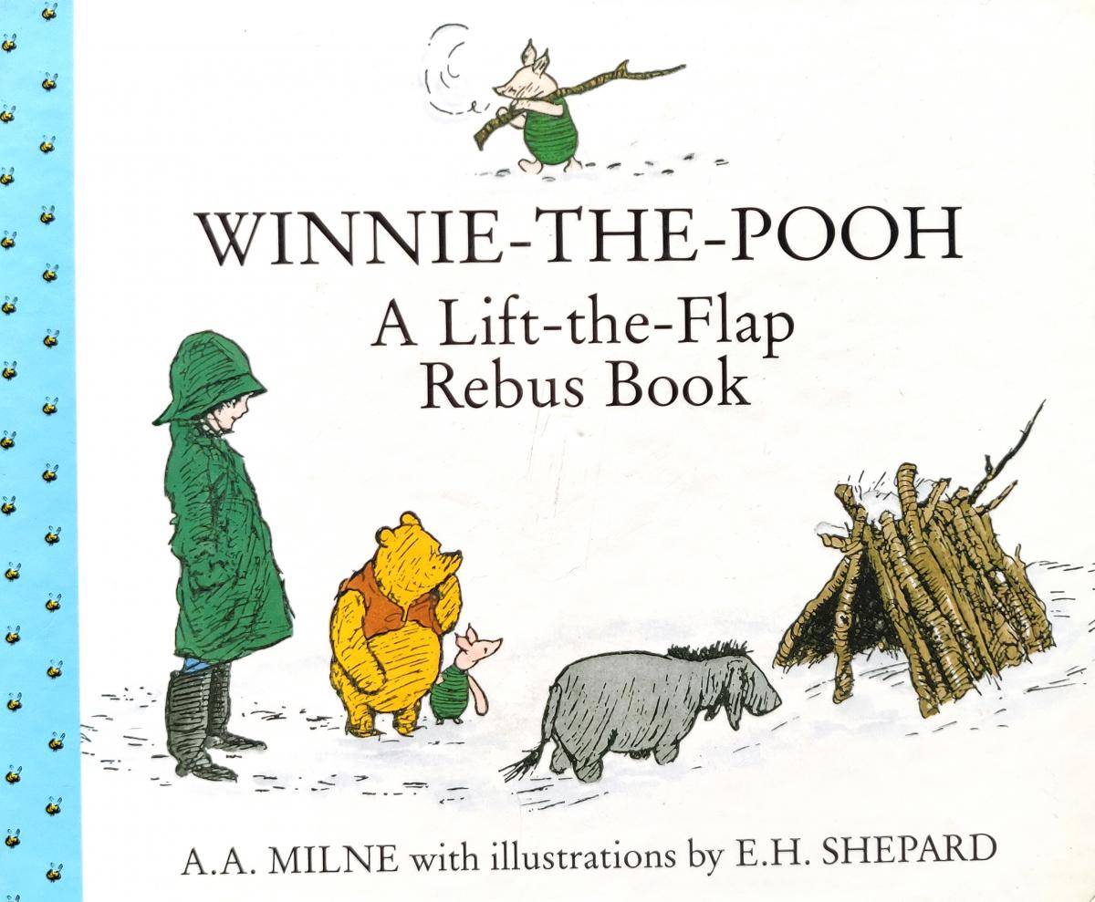 Lift the Flap Rebus Book