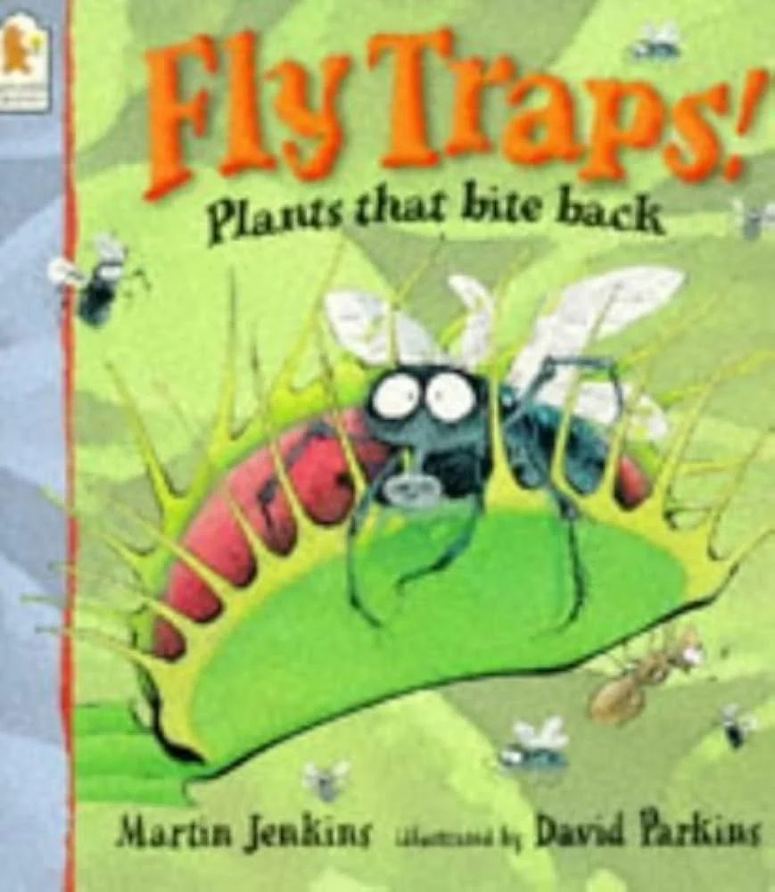 Fly Traps!
