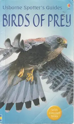 Birds Of Prey (Spotter's Guide)