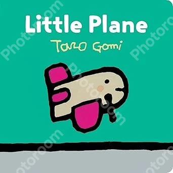 Little Plane