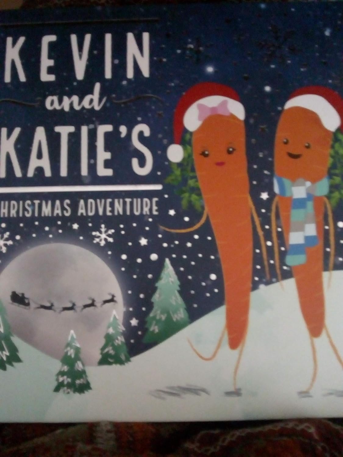 kevin and katie's Christmas Adventure