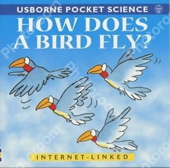 How Does a Bird Fly?