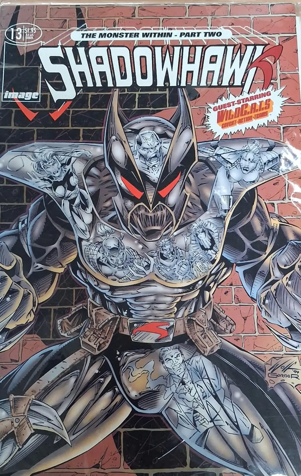 ShadowHawk