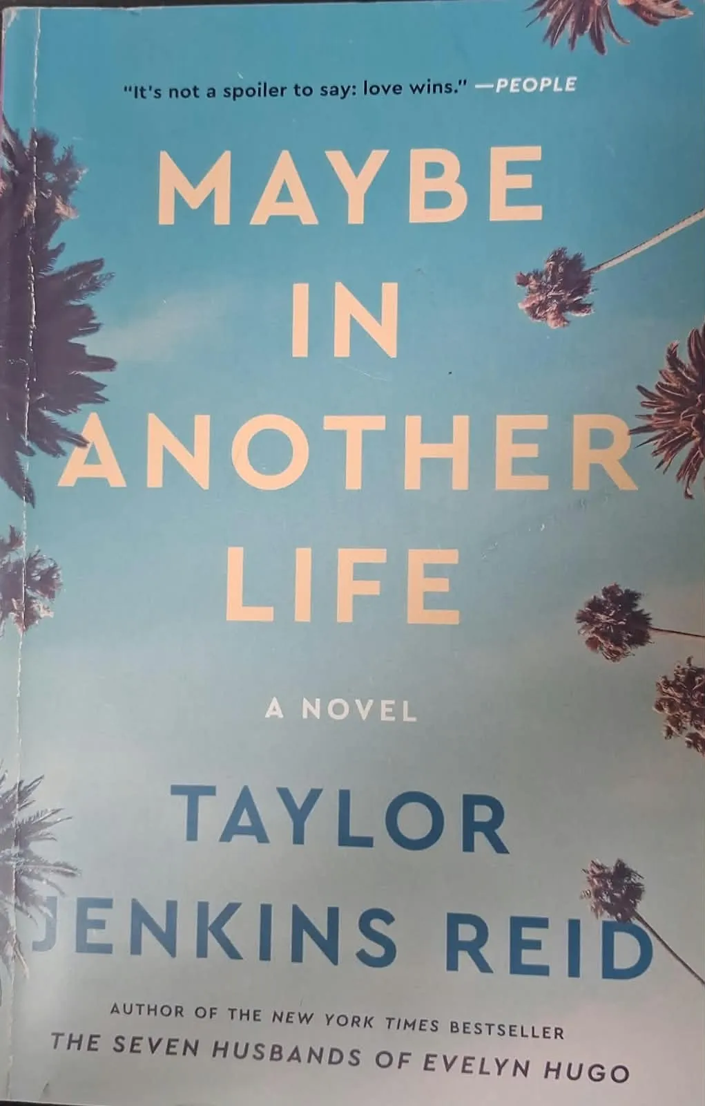 Maybe in Another Life