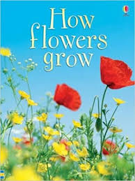 How Flowers Grow
