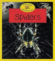 Spiders (Keeping Minibeasts)